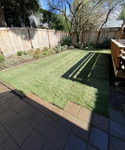 New Lawn Installation in Kent 